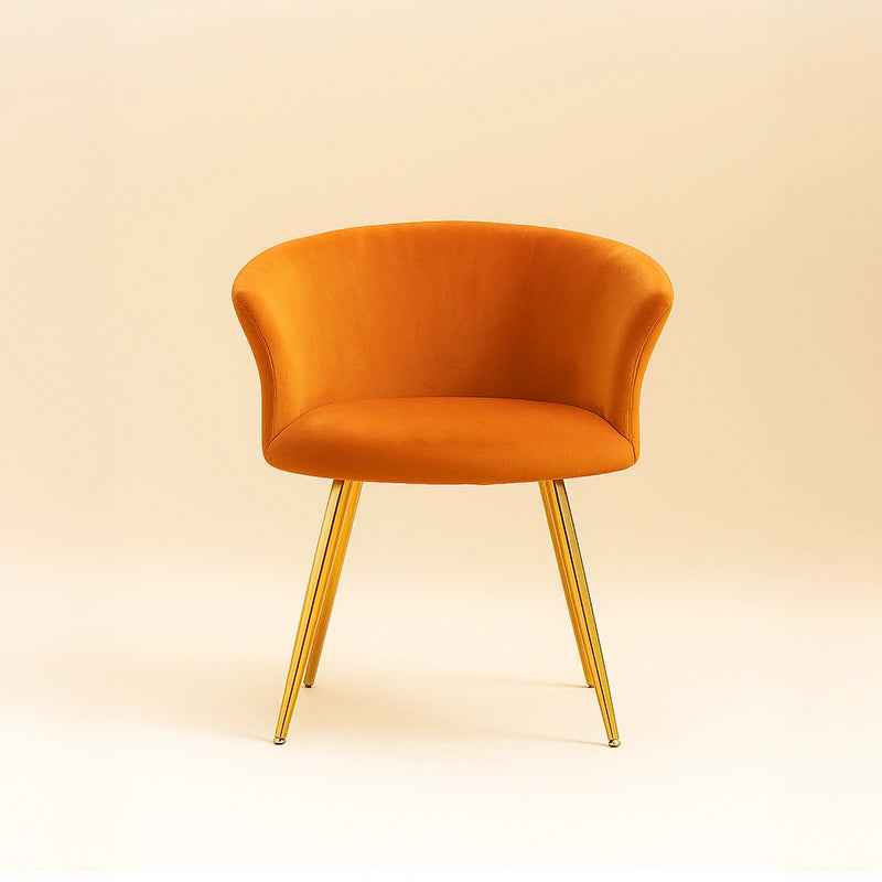 Elara Modern Accent Chair