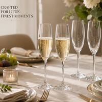Elegant Crystal-Clear Champagne Flutes – Set of 6 Sparking Wine Glasses