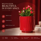 Crimson Glow Ceramic Decorative Vase - Medium Size