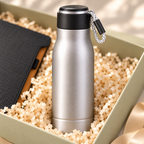 The Daily Momentum Box