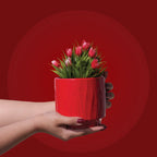 Crimson Glow Ceramic Decorative Vase - Medium Size