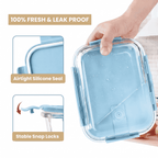 Leakproof Glass Lunch Box Set with Compartments (Set of 3)