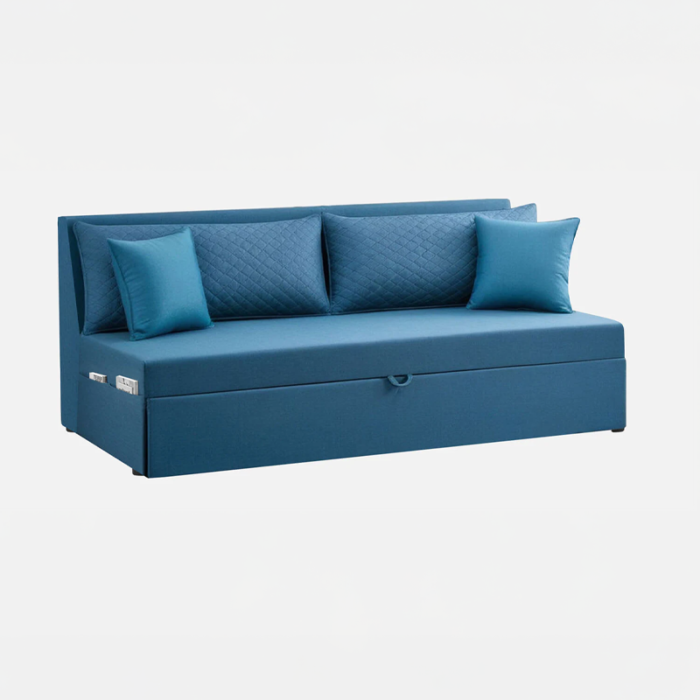 Cloudflip Sofa Cum Bed Modern Convertible Sofa Bed