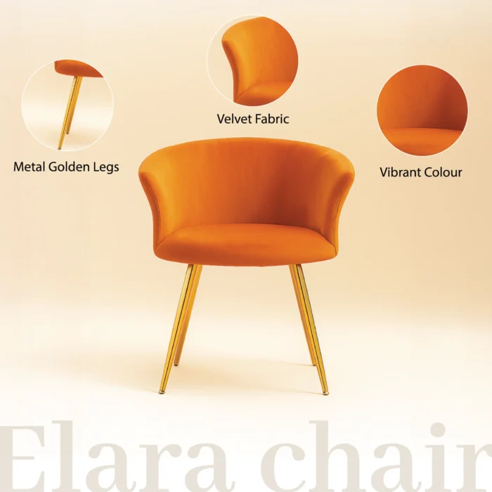 Elara - Image 4