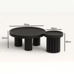 Corvo Echo - Image 4