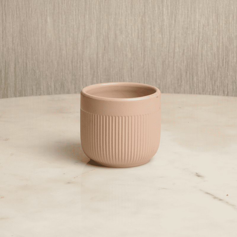 Petite Blush Flute | Small Pink Bud Vase | Intaryaa