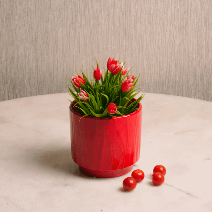 Crimson Glow Vase | Vibrant Modern Red Vase | Intaryaa