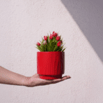 Crimson Glow Vase - Image 4