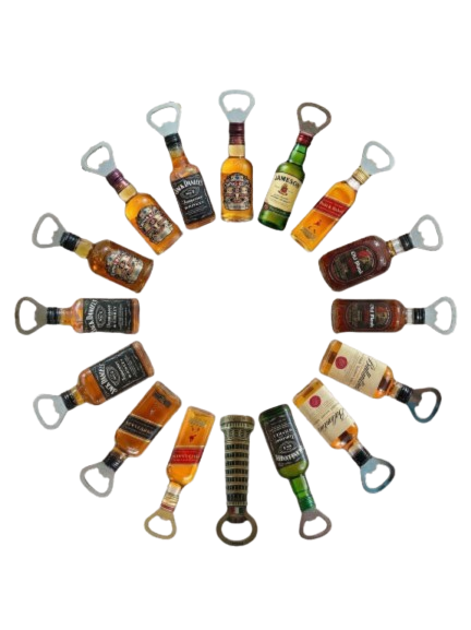 Magnetic Bottle Opener ₹1 Deal