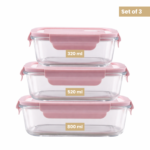 Leakproof Glass Lunch Box Set with Compartments (Set of 3)